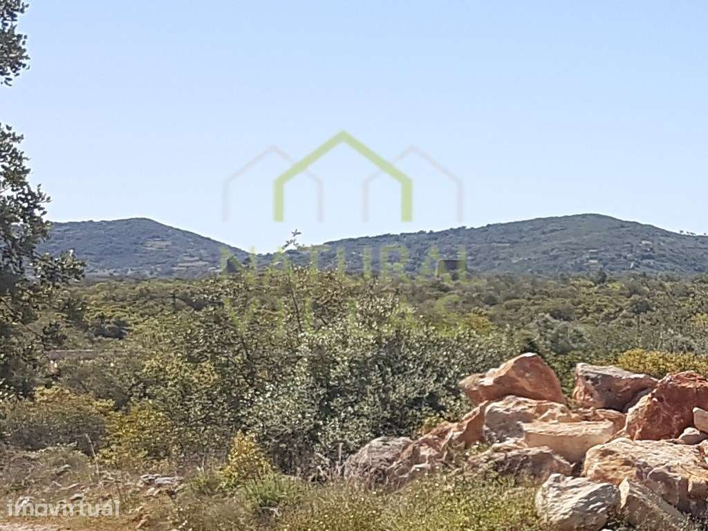 Terreno Rústico de 4,93 Hectares Próximo a São Brás de Alportel - Grande imagem: 2/3