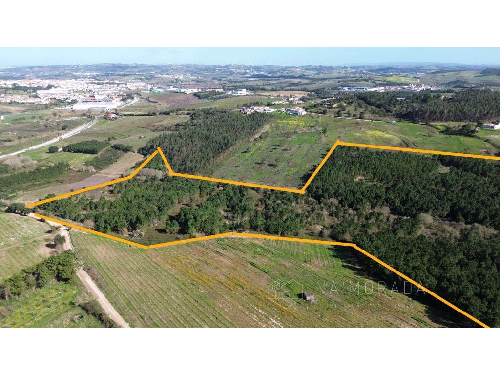 Terreno Rústico de 10 hectares nas Barreiras, Bombarral - Grande imagem: 3/29