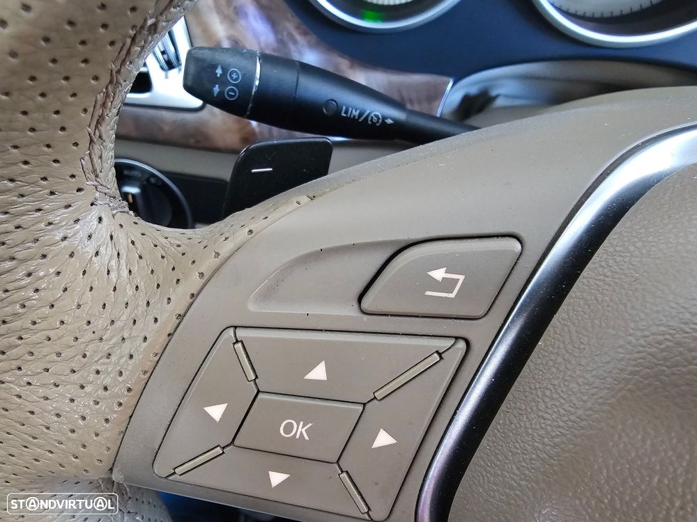 Mercedes-Benz CLS 250 CDI BlueEfficiency - 25