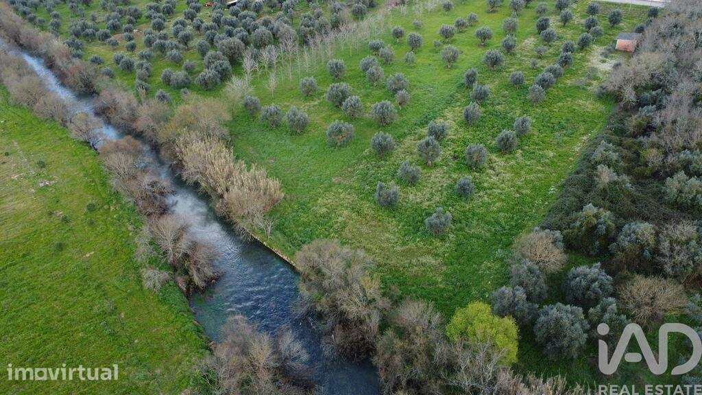 Terreno em Freixianda, Ribeira do Fárrio e Formigais de 6021,00 m2