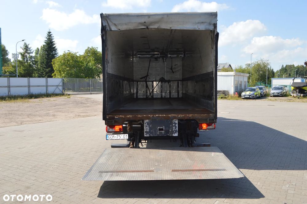 Scania Scania P 310 - 19