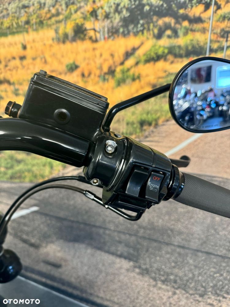 Harley-Davidson Softail Heritage Classic - 10