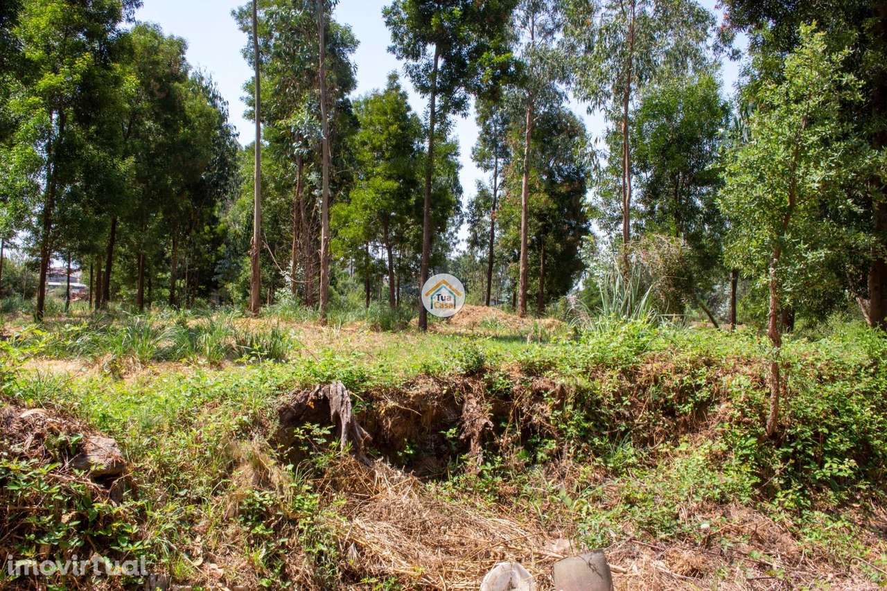 Terreno para Loteamento – Rio Meão, Santa Maria da Feira - Grande imagem: 5/19