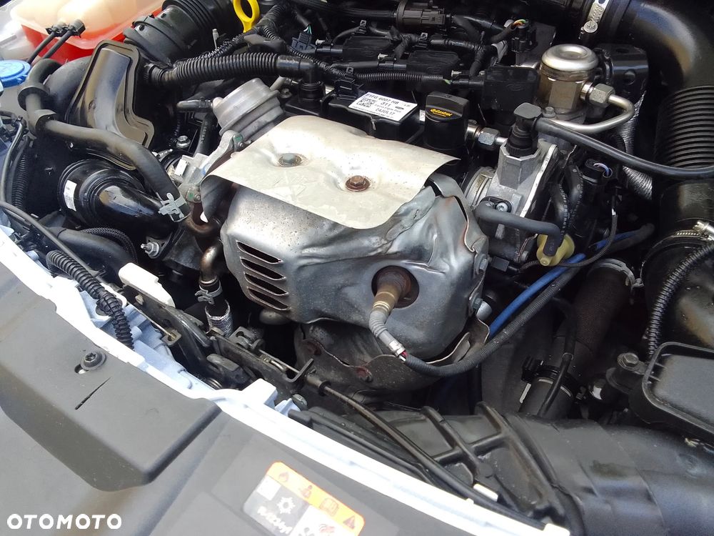 Ford Focus - 18