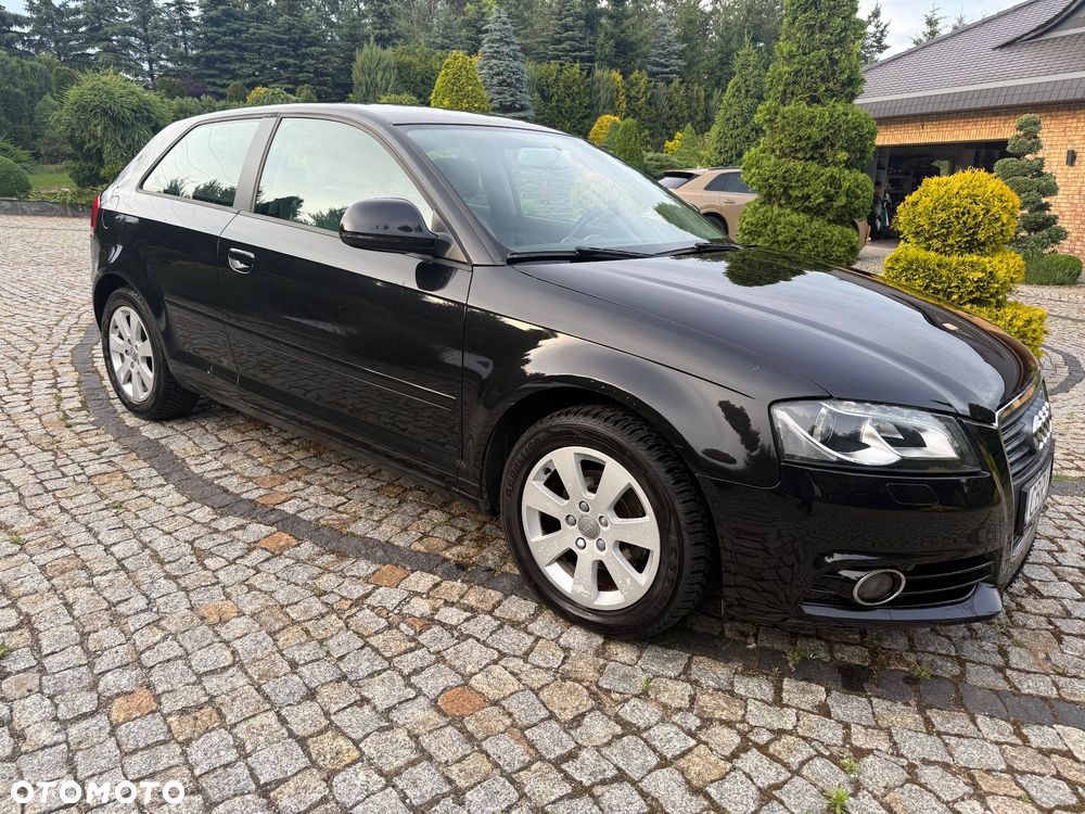 Audi A3 3-drzwiowe - 10