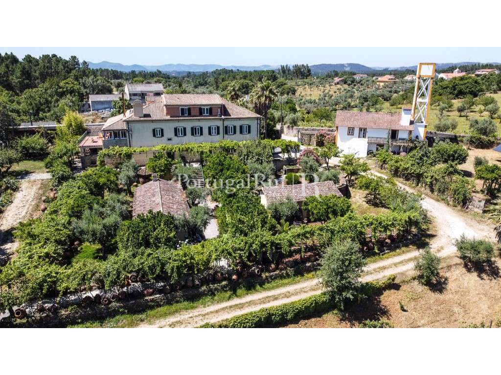 Quinta senhorial de 1754 para turismo rural com vinícola premiada - Grande imagem: 3/60