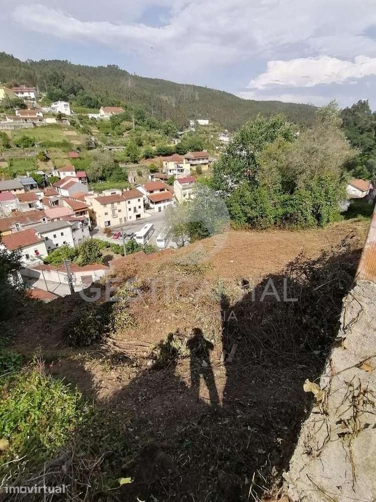 Moradia para Reabilitação com Terreno ( 976m2 )| Lorvão | Penacova - Grande imagem: 4/14