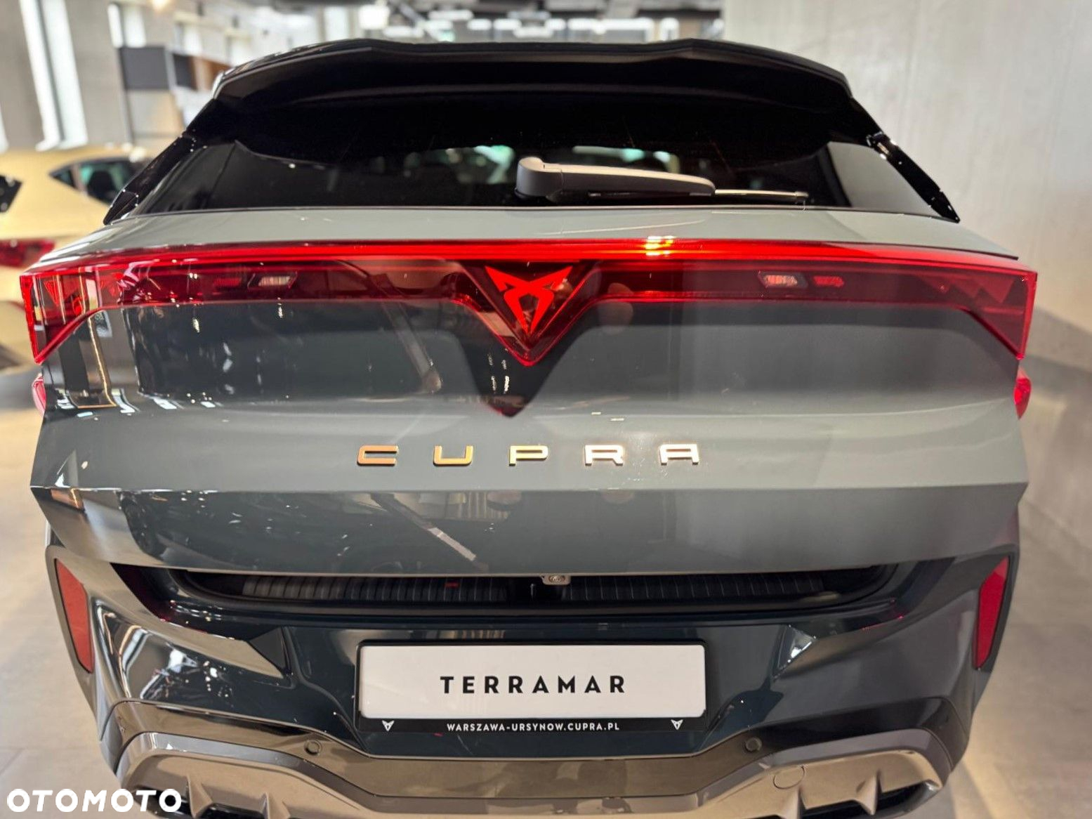 Cupra Terramar - 5