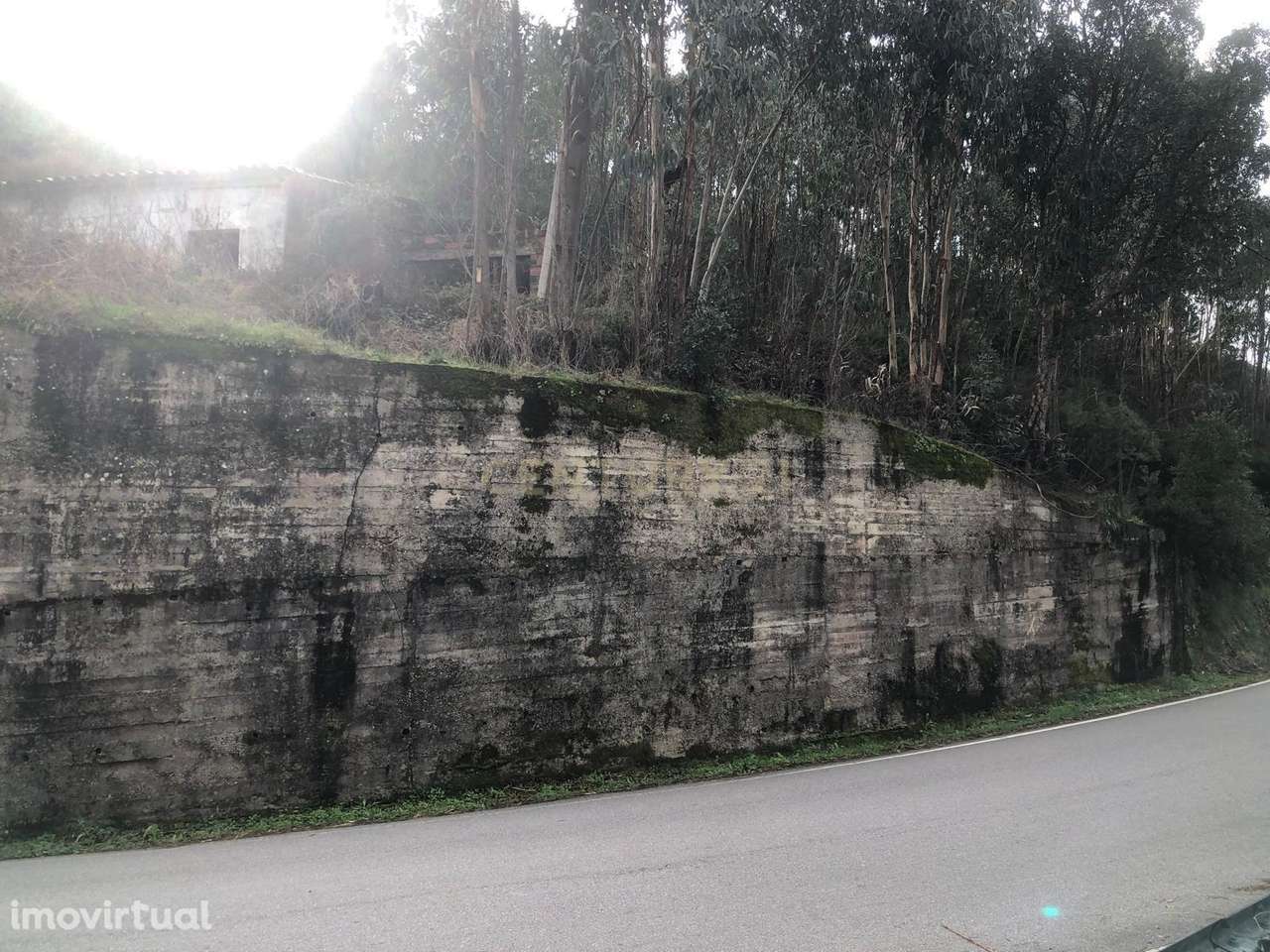 Terreno de 4 hectares com casa para renovar em Monchique - Grande imagem: 4/25