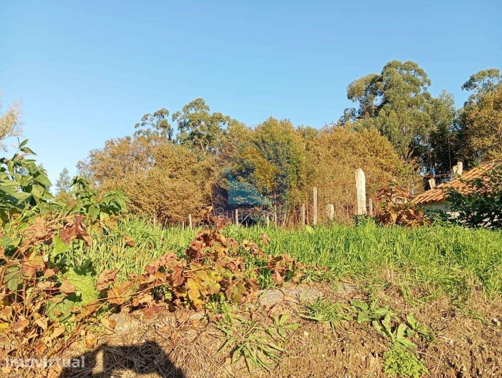 Venda Terreno - Grande imagem: 2/2