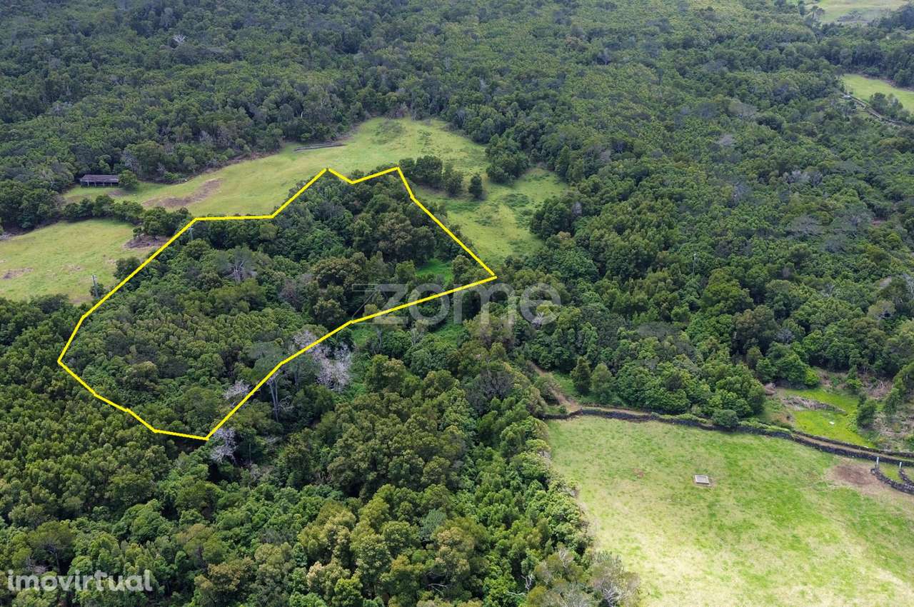 Terreno Agrícola na Zona da Mesquita em São Roque do Pico - Grande imagem: 3/21