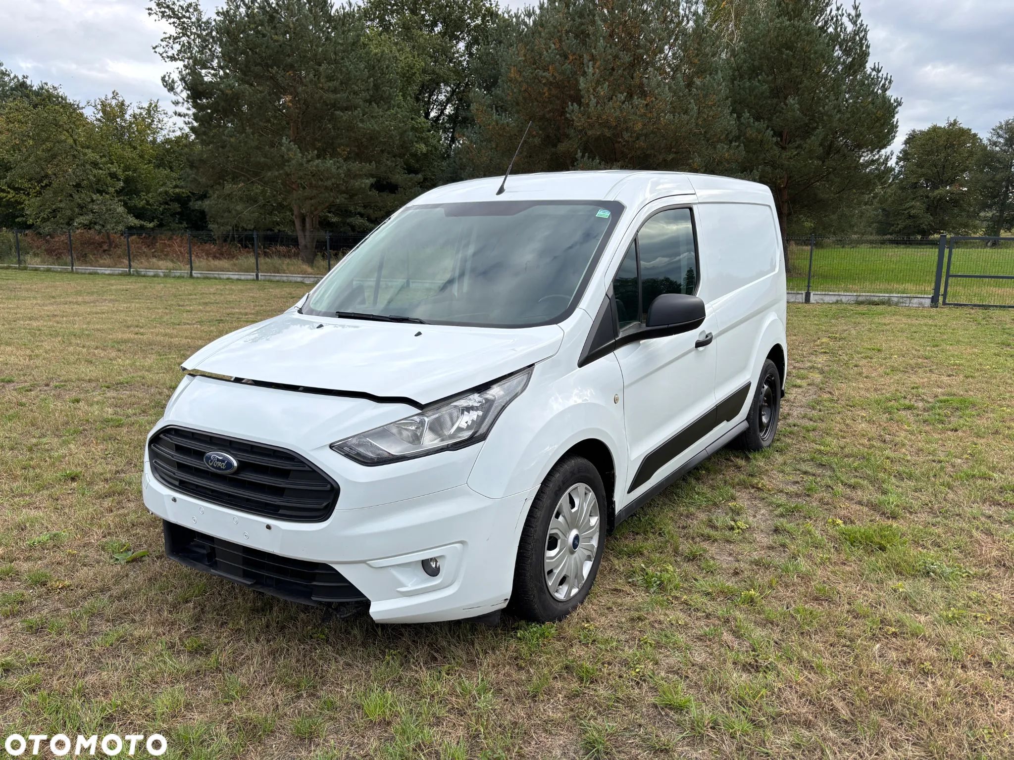 Ford Transit Connect - 1