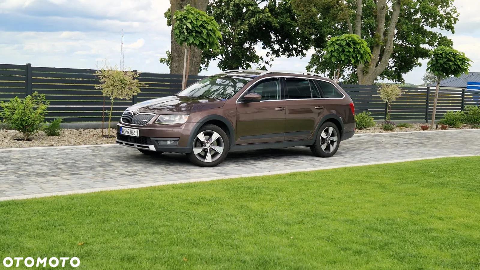 Skoda Octavia Scout 2.0 TDI 4x4 DSG - 3