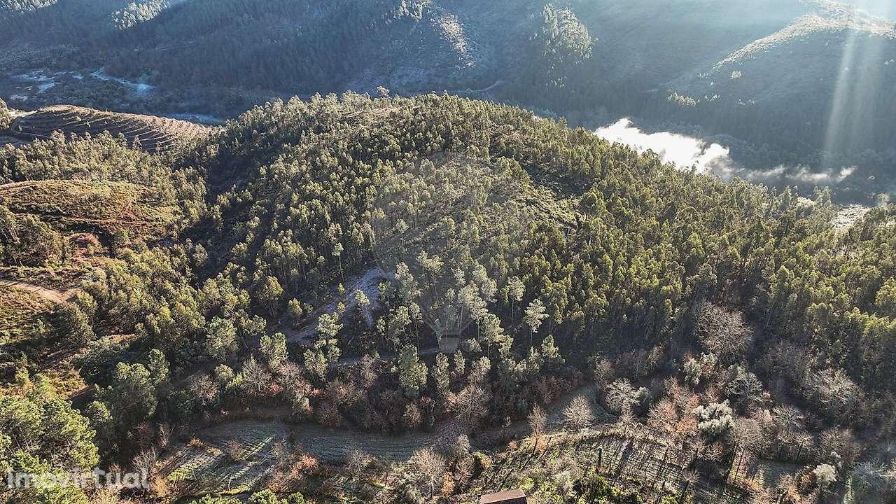 Terreno  para venda - Grande imagem: 3/13