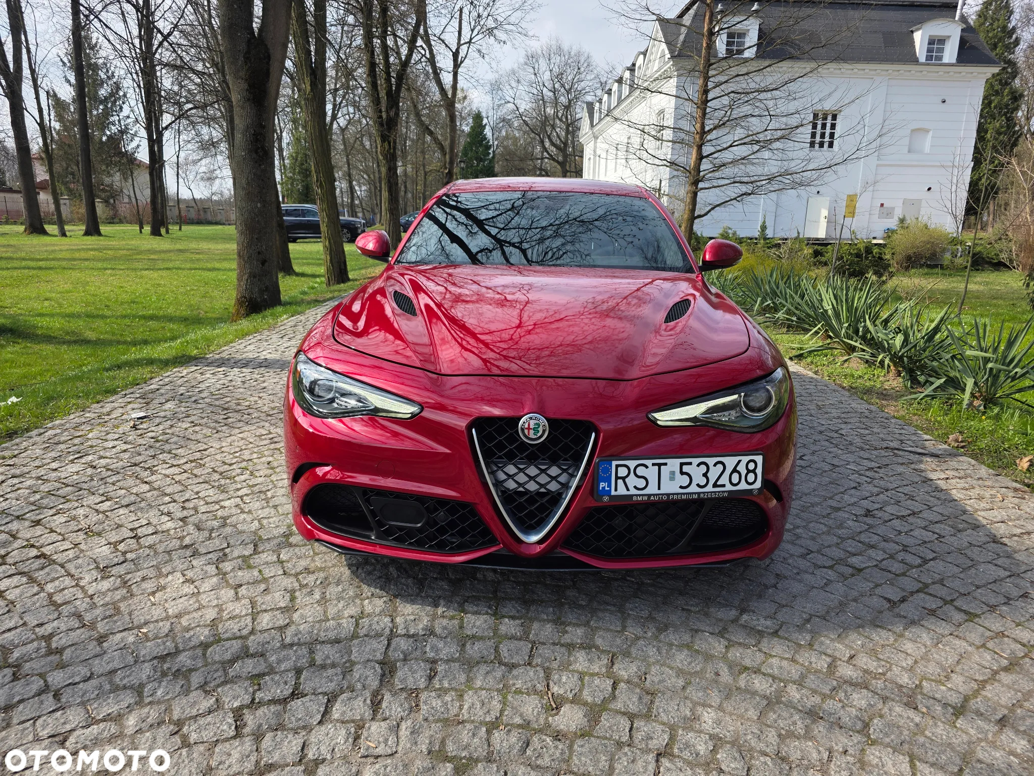 Alfa Romeo Giulia 2.9 V6 Bi-Turbo AT8 Quadrifoglio - 5