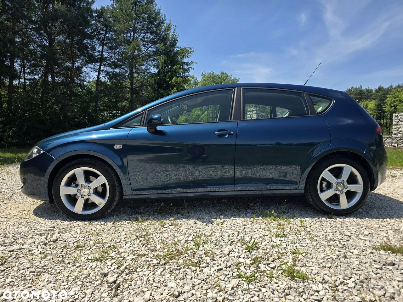 Seat Leon - 30