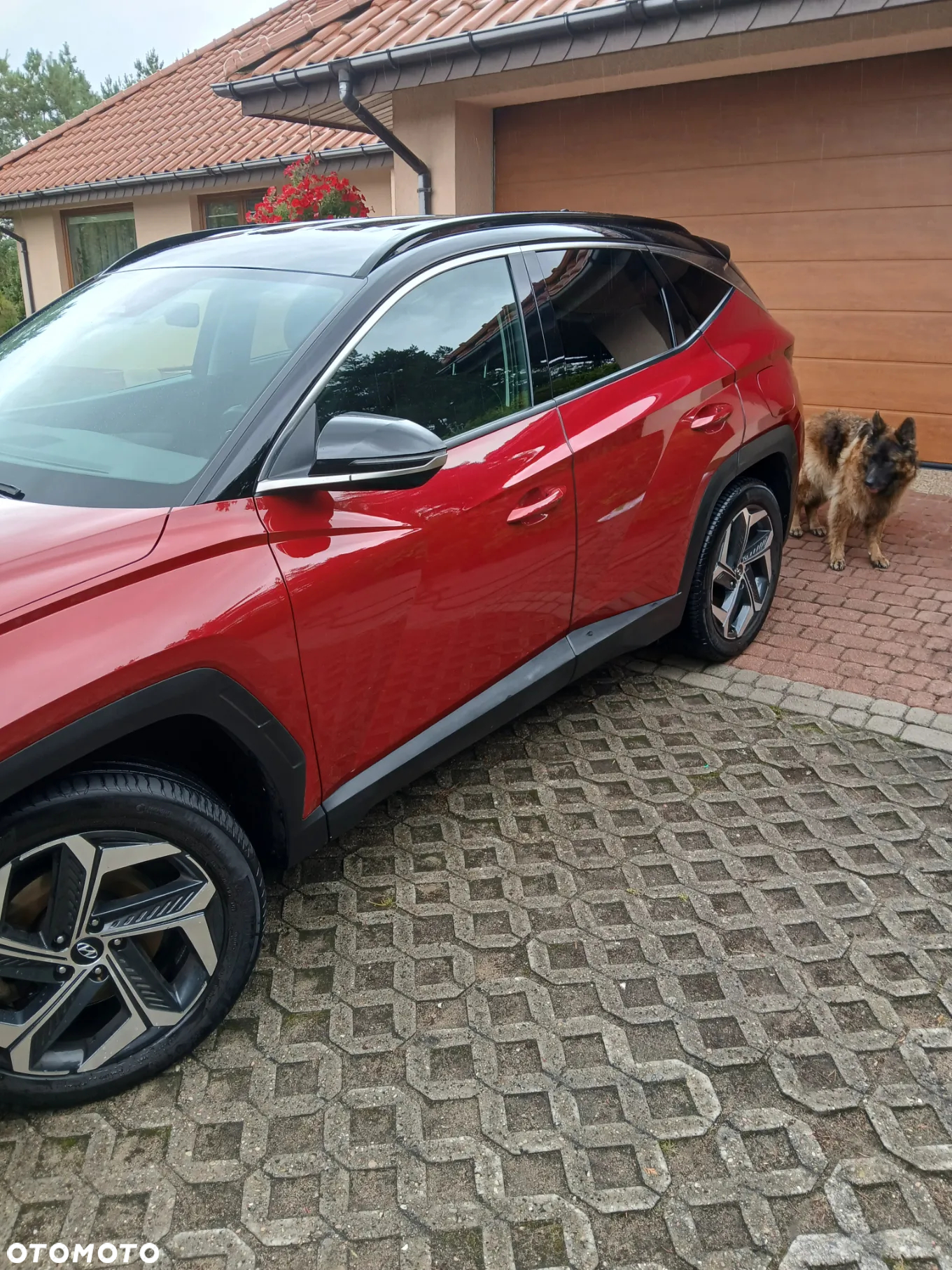 Hyundai Tucson 1.6 T-GDi HEV Platinum 2WD - 7