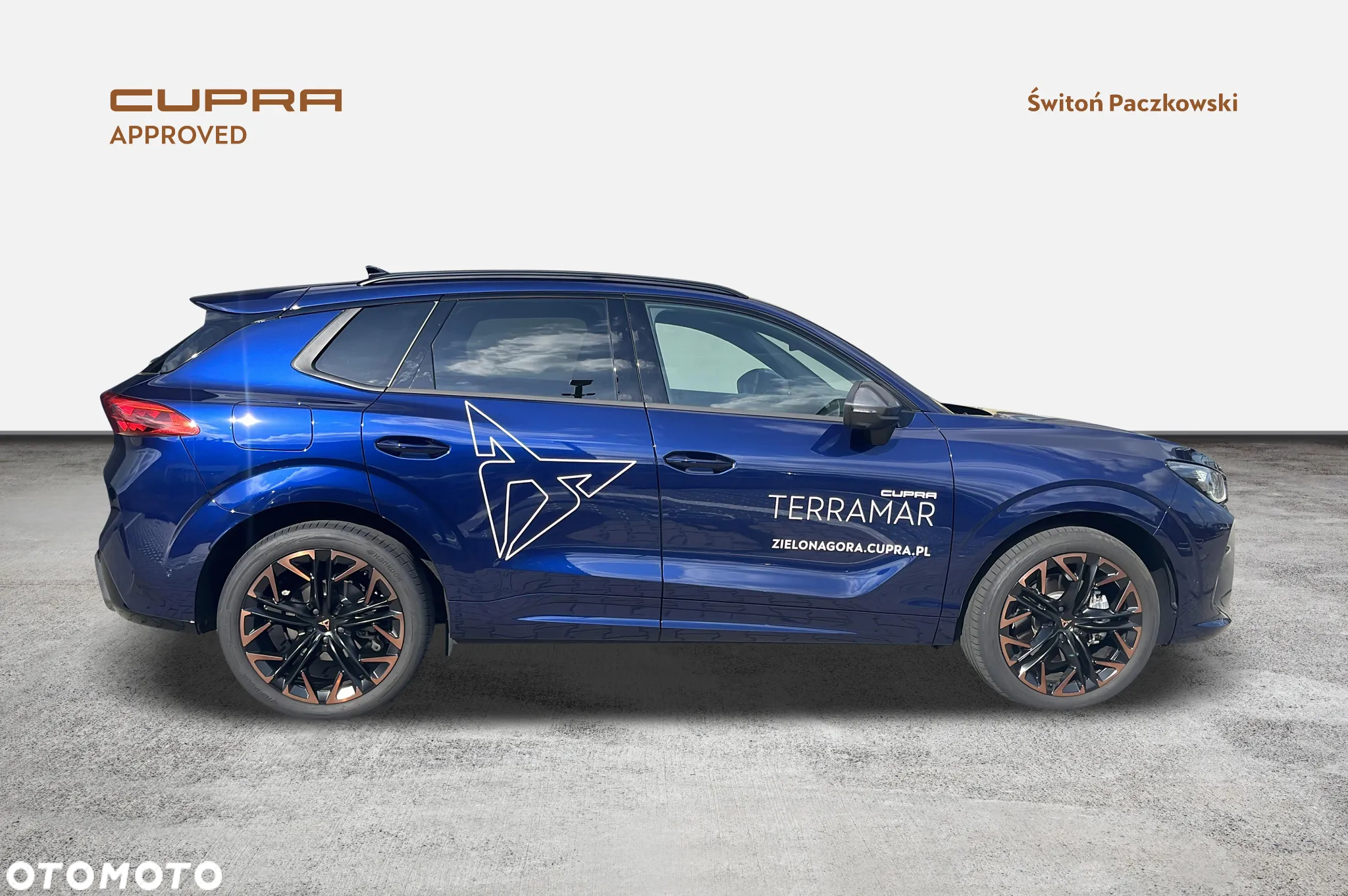 Cupra Terramar 2.0 TSI 4Drive Advantage Edition DCC DSG - 6