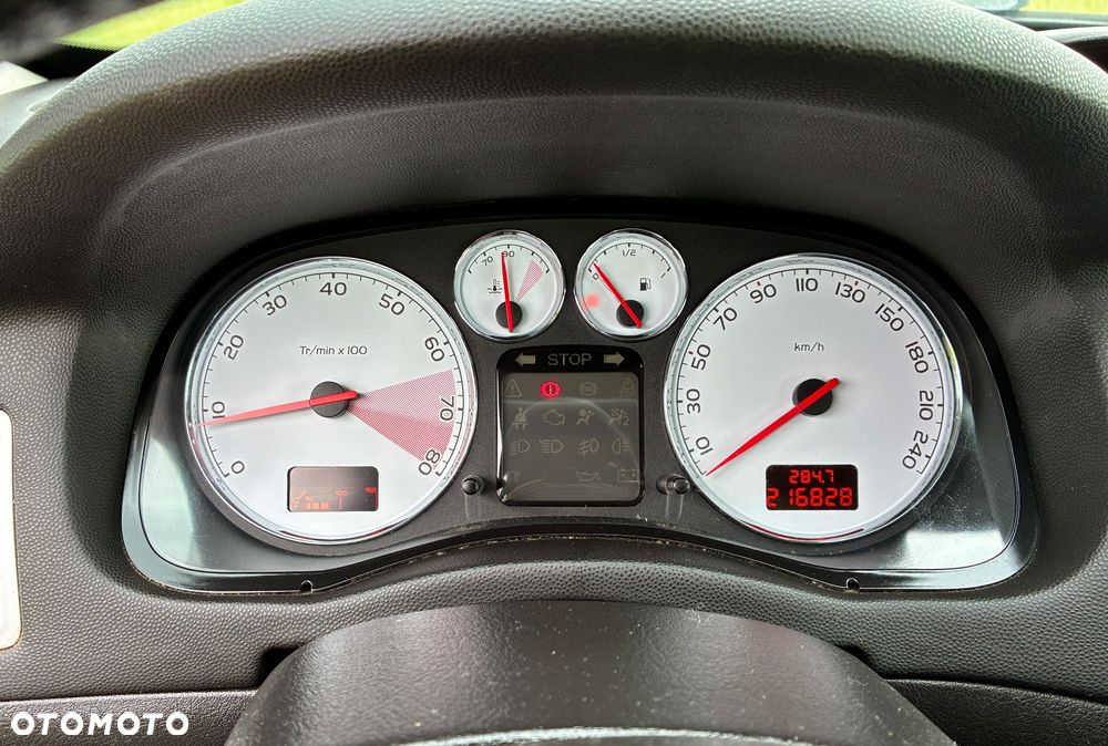 Peugeot 307 - 31