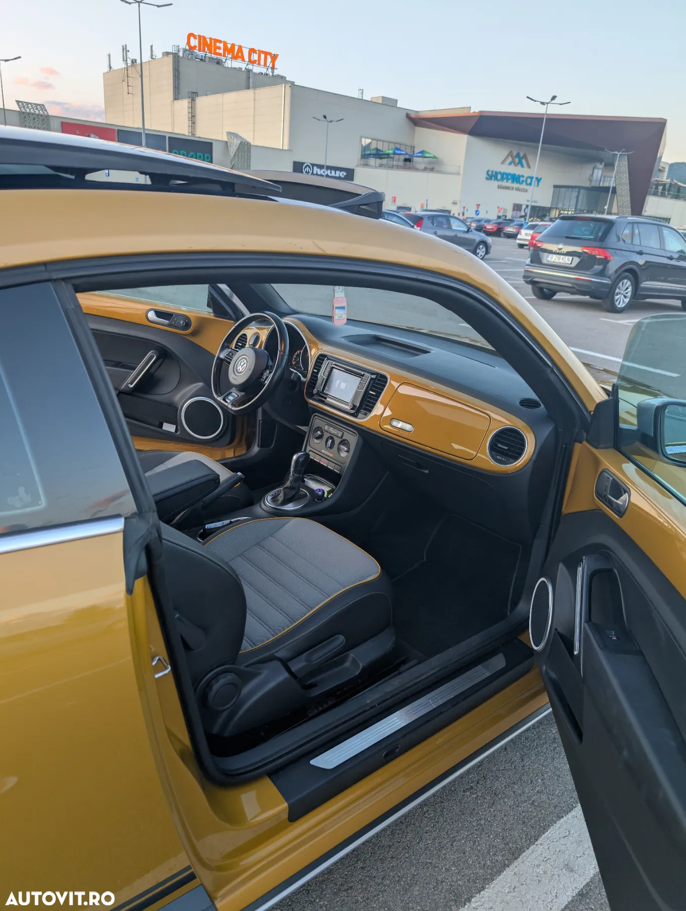 Volkswagen Beetle - 10