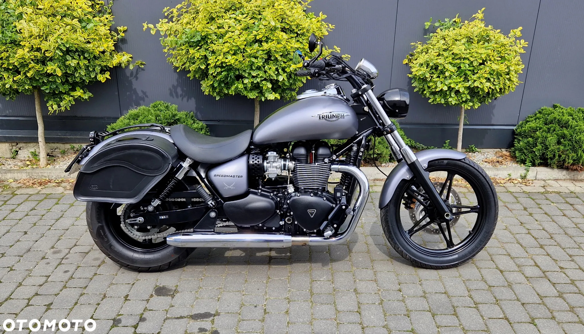 Triumph Speedmaster - 3