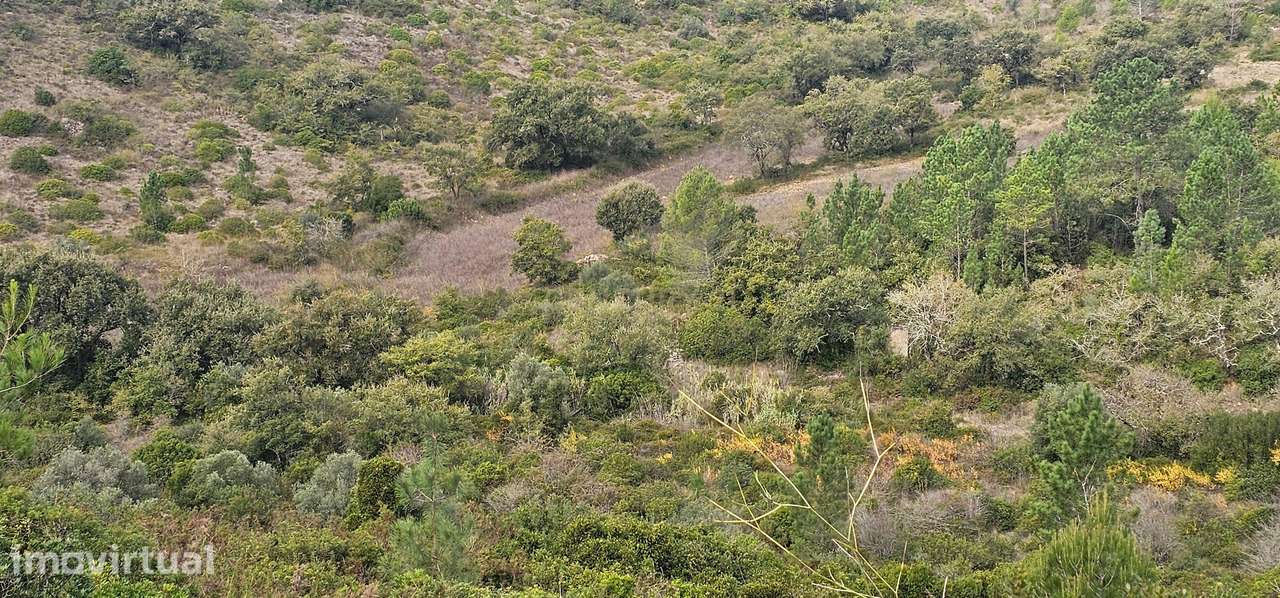 Terreno em Loures: 14.240m² com Vista Campestre e Frutais - Grande imagem: 5/14
