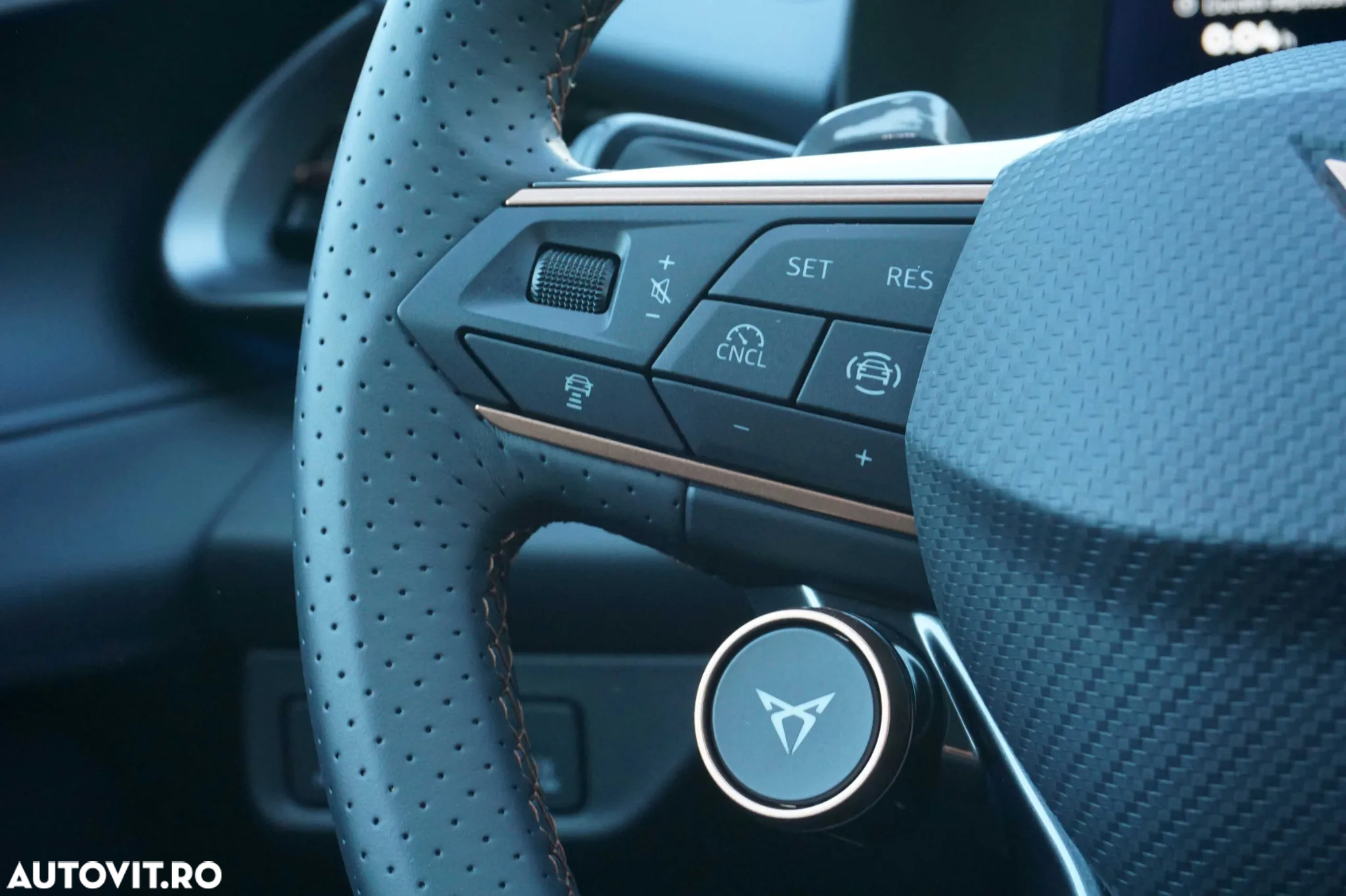 Cupra Terramar - 16