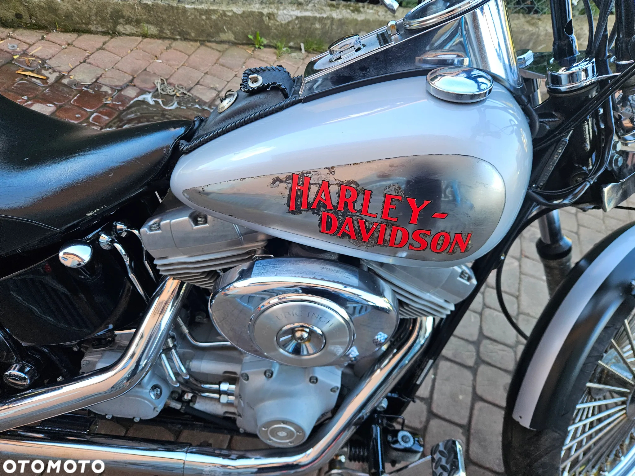Harley-Davidson Softail - 6
