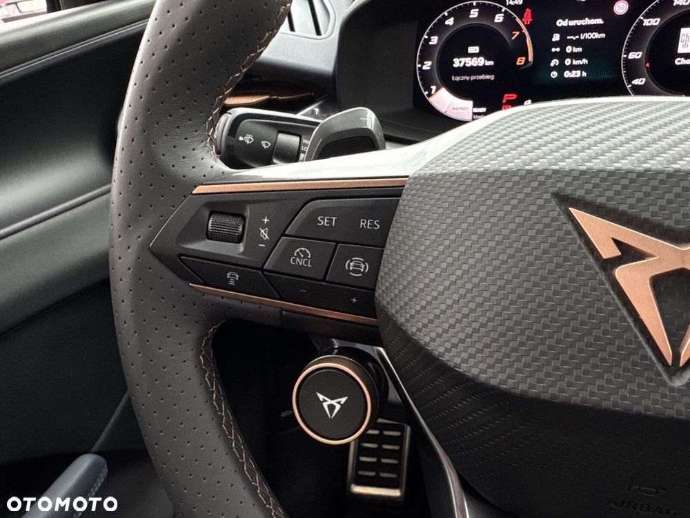Cupra Terramar - 18