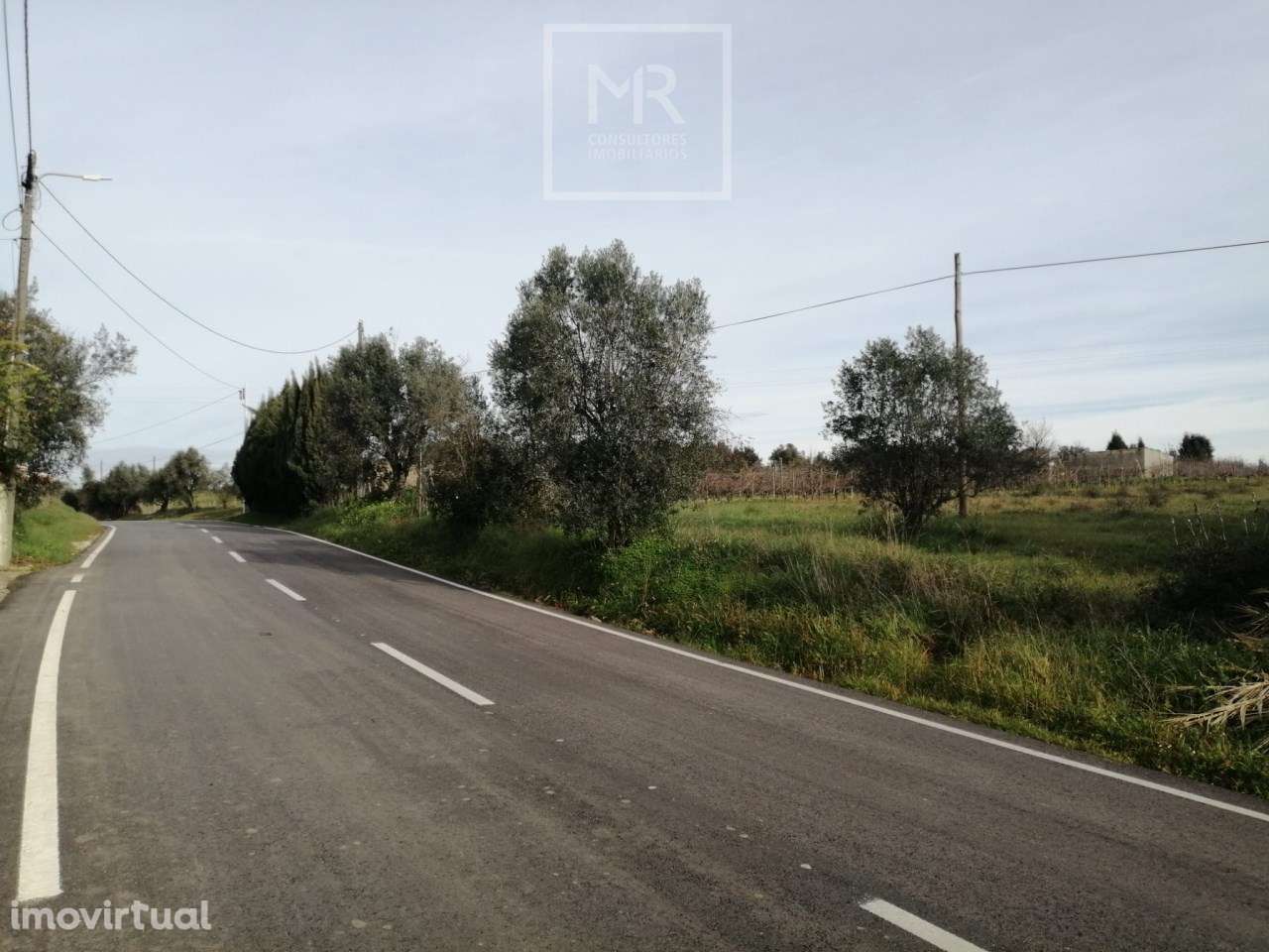 Terreno  Venda em Amoreira da Gândara, Paredes do Bairro e Ancas,Anadi - Grande imagem: 3/6