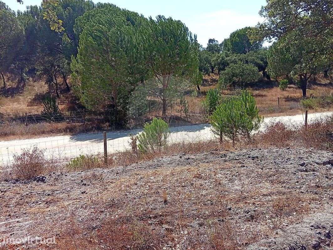 Terreno  para venda - Grande imagem: 2/6