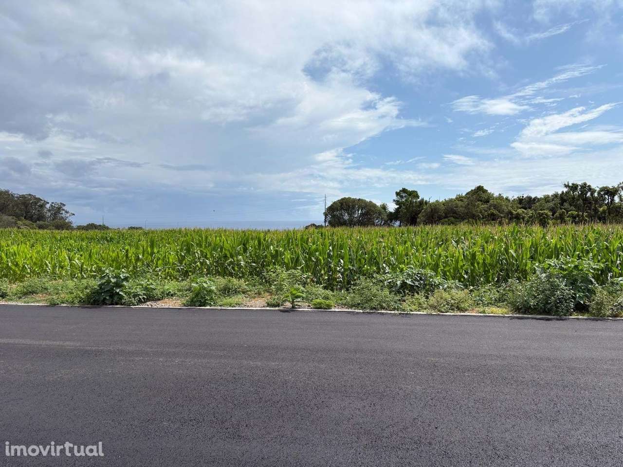 Lote para construção de moradia no Cabouco (Lagoa). - Grande imagem: 4/7