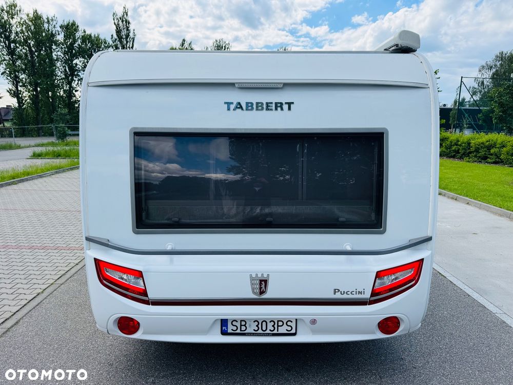 Tabbert Puccini - 6