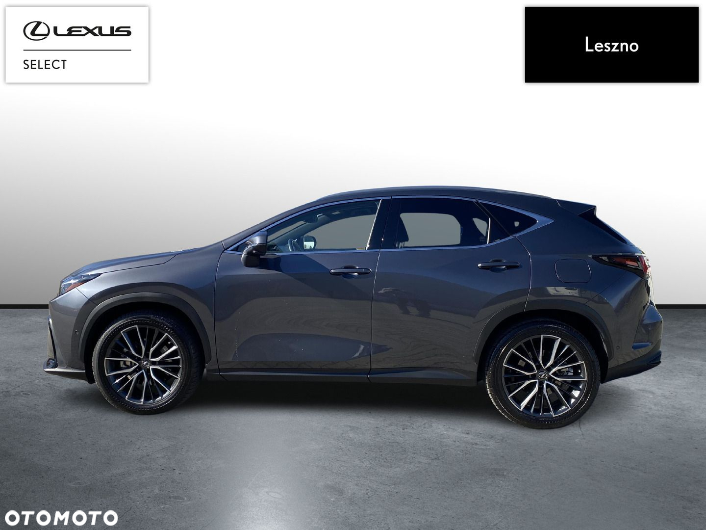 Lexus NX - 9