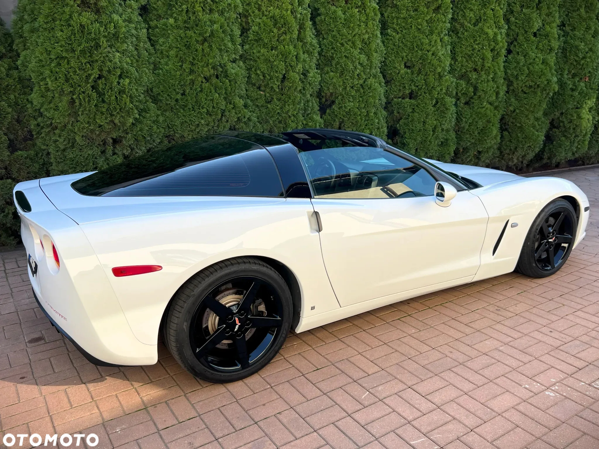 Chevrolet Corvette 6.0 V8 - 14