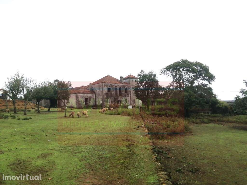 QUINTA - GIÃO - Grande imagem: 5/35