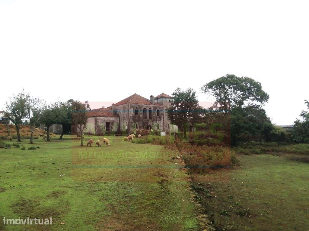 QUINTA - GIÃO - Grande imagem: 5/35