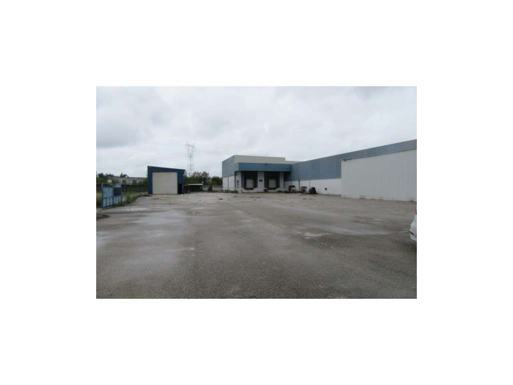 Grande armazém e escritórios junto a Leiria - Grande imagem: 5/13