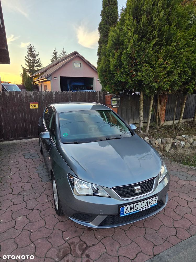 Seat Ibiza - 19