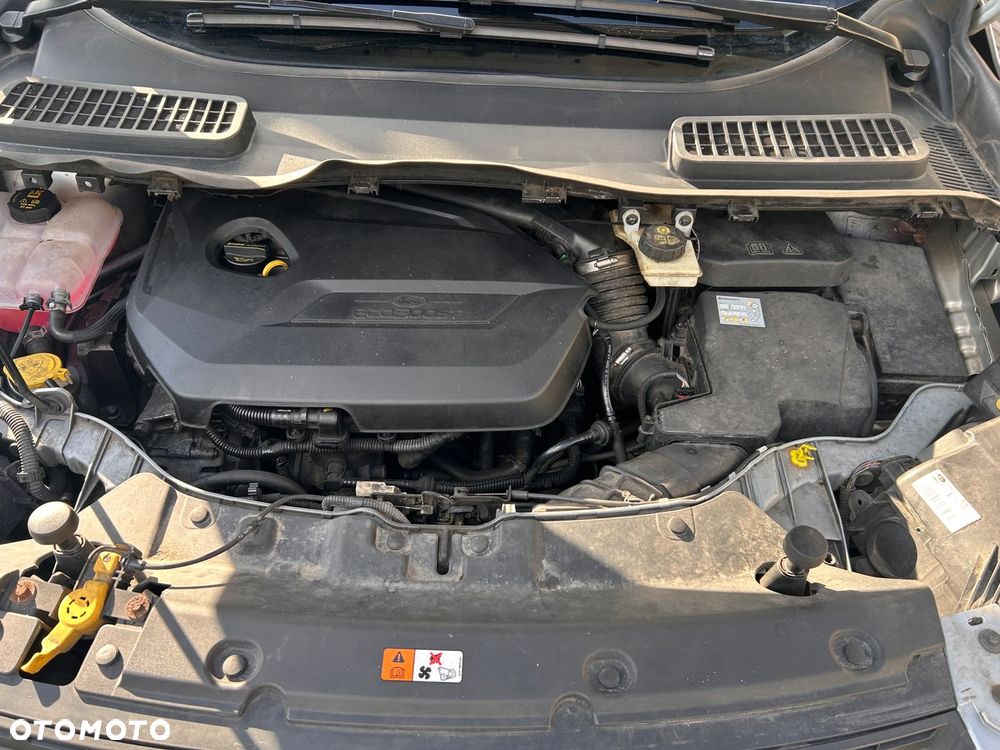Ford Kuga - 18