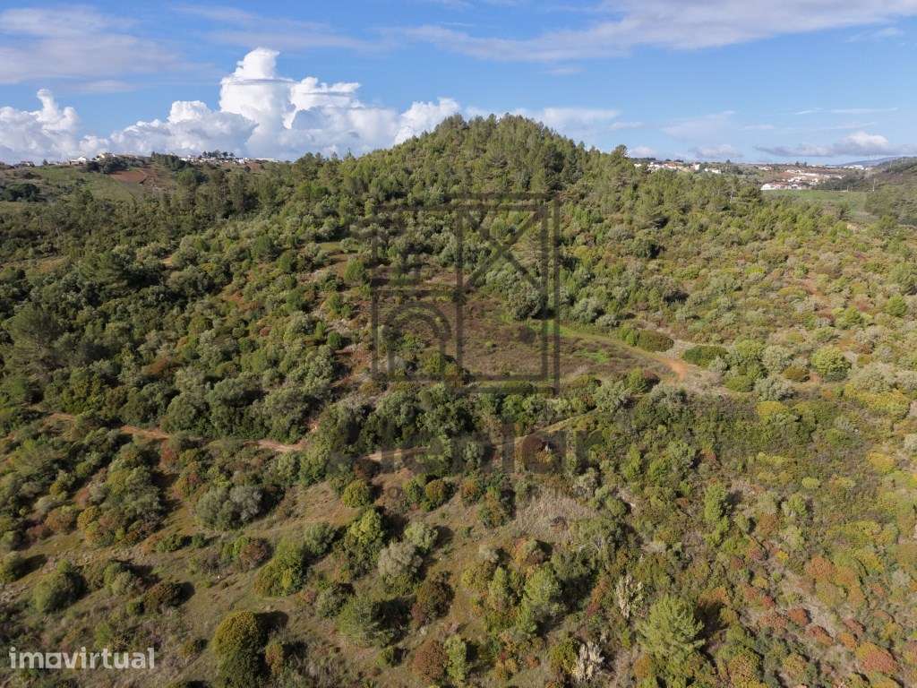 Terreno de 42 hectares, Excelente Investimento - Grande imagem: 3/24