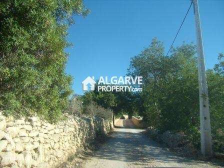 Lote de terreno com vista panorâmica de campo e projeto aprovado em Tu - Grande imagem: 3/11