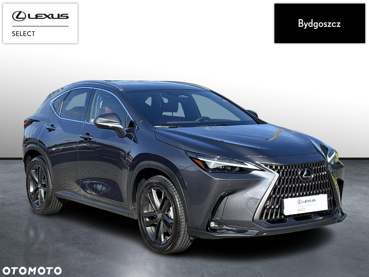 Lexus NX - 2