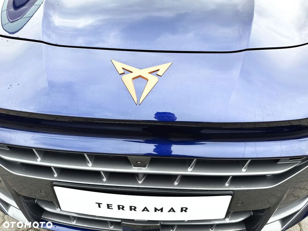 Cupra Terramar 1.5 eTSI mHEV Advantage Edition DSG - 18
