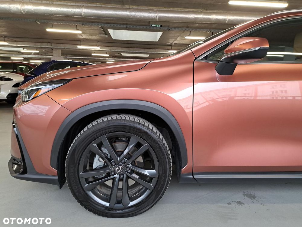Lexus NX - 34