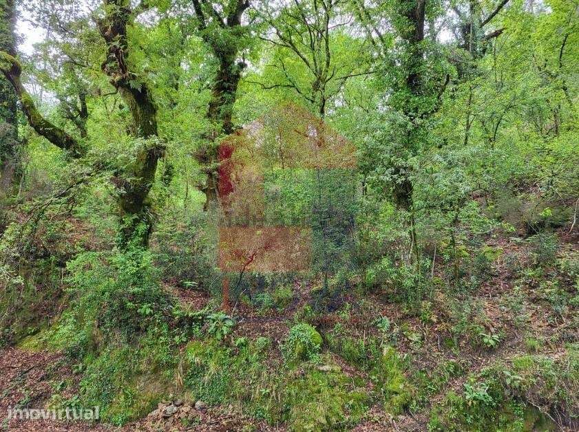 Terreno agrícola, Valdreu - Grande imagem: 2/12