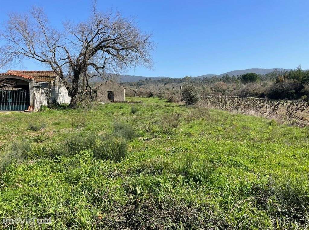Terreno para construção, Penela - Grande imagem: 2/3