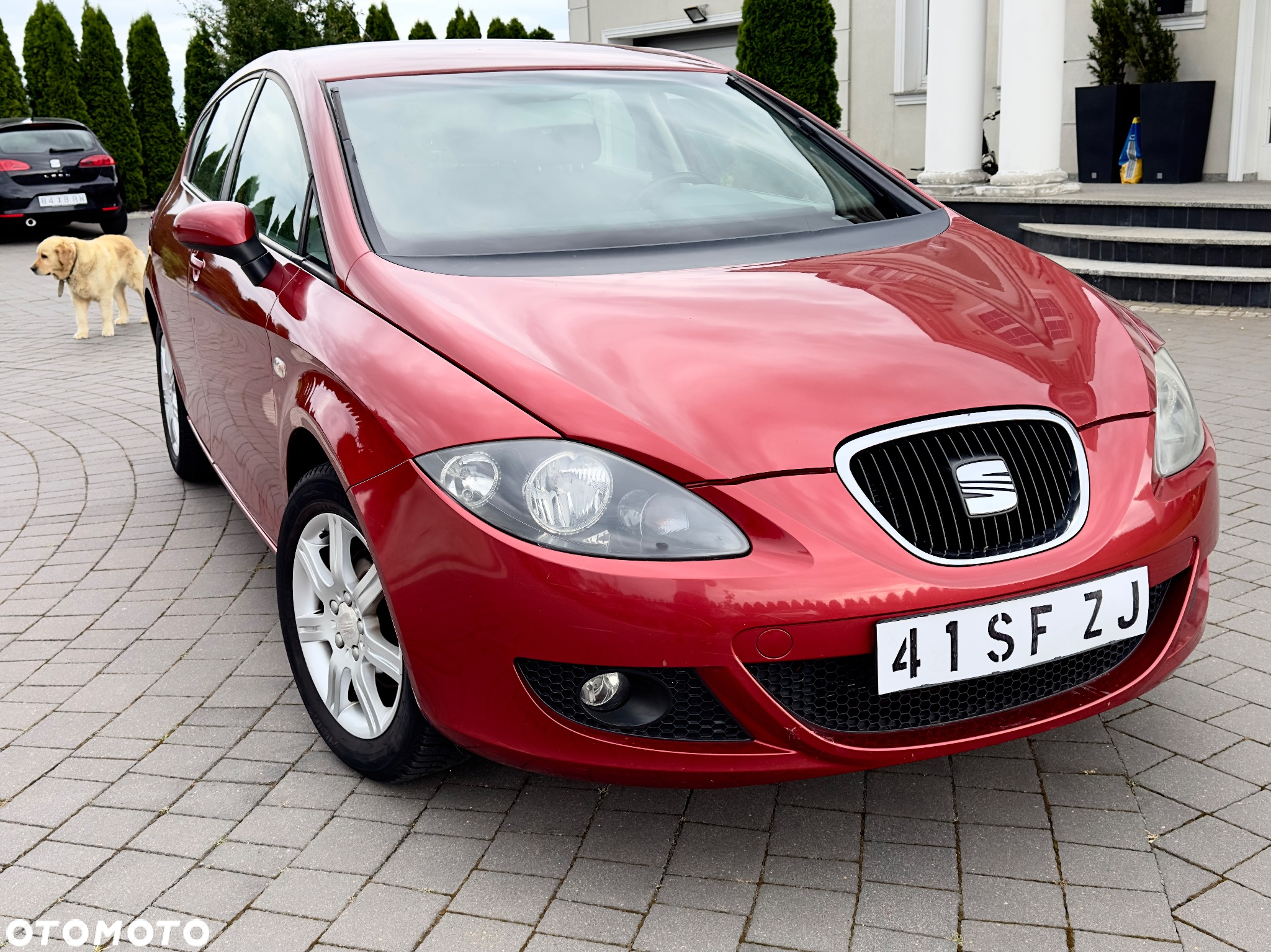 Seat Leon 1.6 Sport Limited - 5