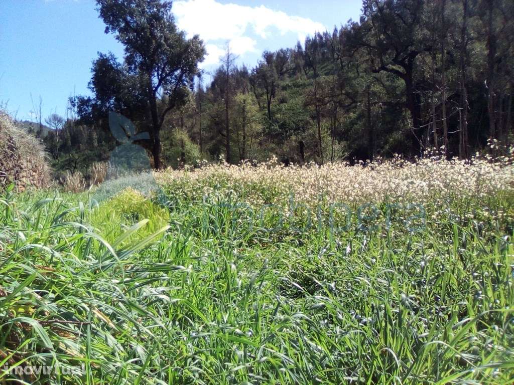 Terreno Rústico

Rustic Land

Terre rustique - Grande imagem: 4/10