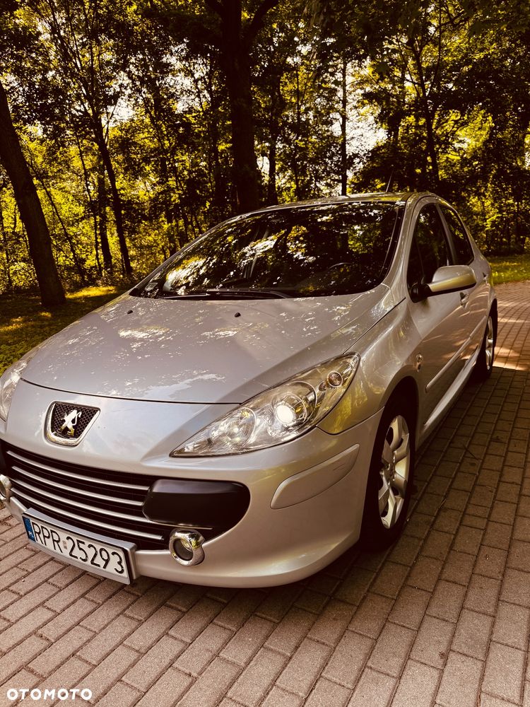 Peugeot 307 1.6 - 1